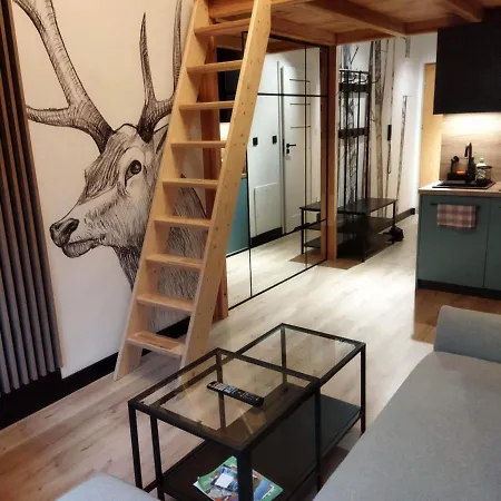 公寓 Czarny Staw Apartamentyzakopianskie Basen Sauna Jacuzzi 扎科帕内