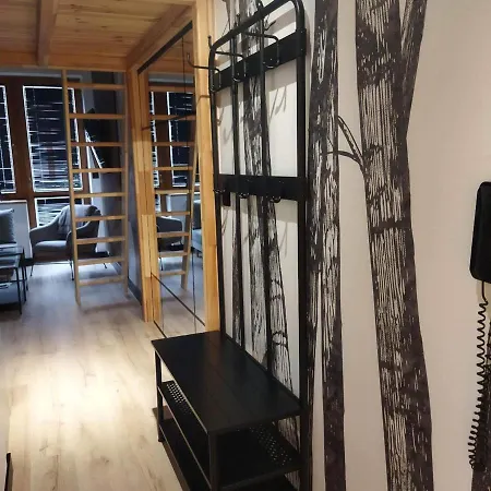 公寓 Czarny Staw Apartamentyzakopianskie Basen Sauna Jacuzzi