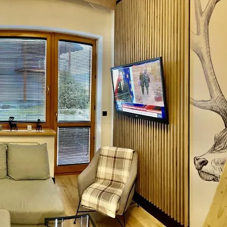 Czarny Staw Apartamentyzakopianskie Basen Sauna Jacuzzi 公寓 扎科帕内