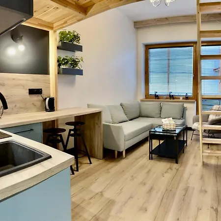 Czarny Staw Apartamentyzakopianskie Basen Sauna Jacuzzi דירה *